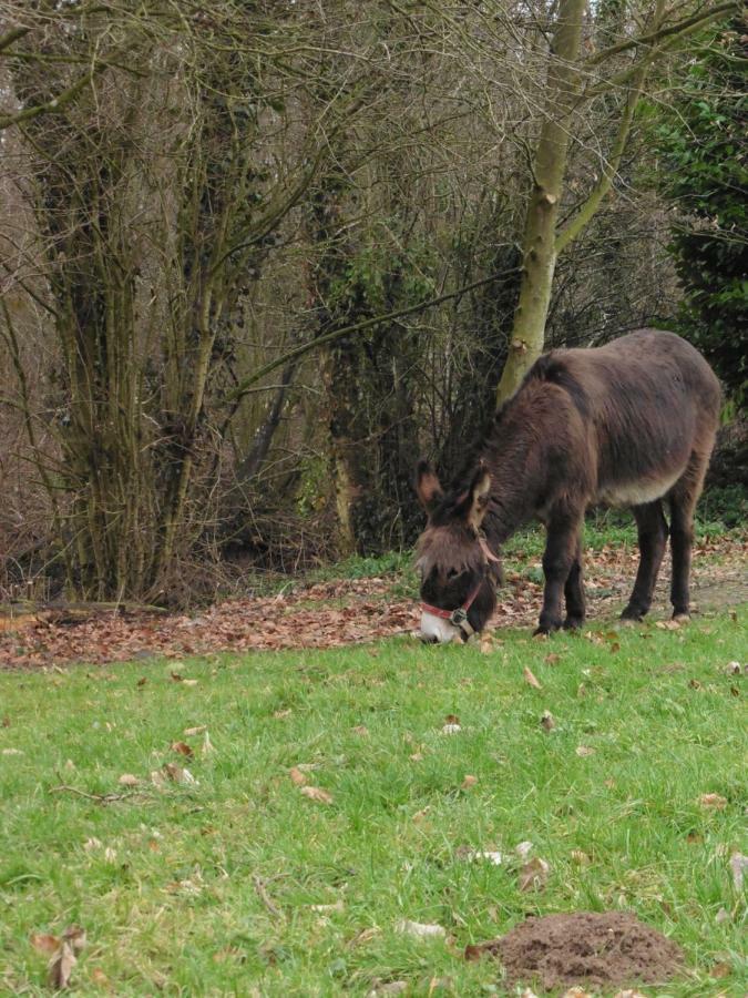 Au Fil De L'Eau Villa Conchy-sur-Canche Bagian luar foto